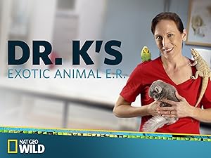 dr k's vet