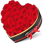 MAMAMIKO 27 Preserved Roses in Heart Shape Gift Box for Her - Forever Flowers for Delivery, Eternal Rose Mothers Gifts for Mom, Wife Anniversary Birthday Valentines Day Gifts for Women, Red
