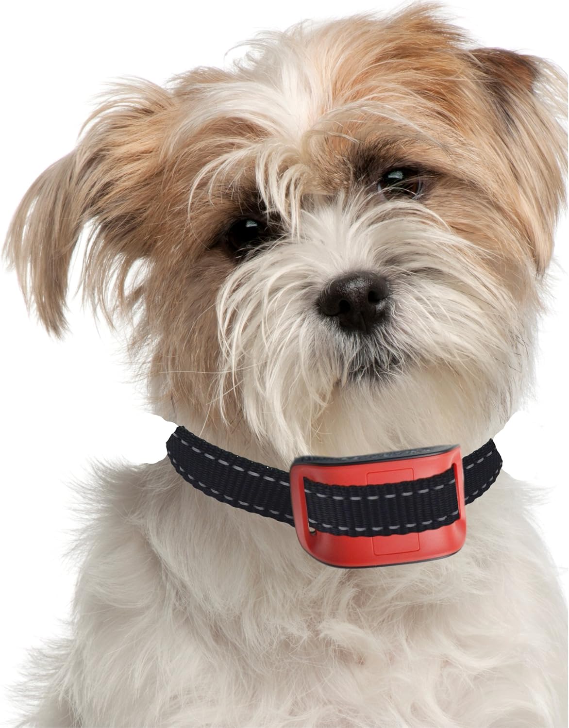 Our K9 RED Bark Collar. Small Medium Size Naughty Stubborn Dogs