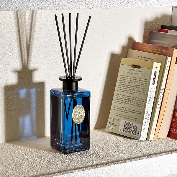 M&SENSE 10.14 OZ LARGE REED DIFFUSER SET | OCEAN ESCAPE SCENT OIL DIFFUSER WITH STICKS | HOTEL COLLECTION NON-TOXIC ESSENTIAL OIL |FOR BEDROOM BATHROOM LIVING ROOM