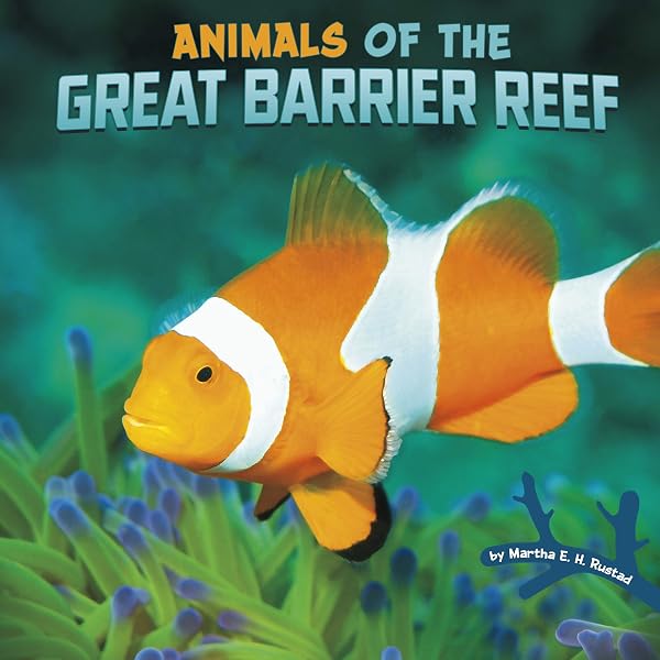The Great Barrier Reef: Power, Allan: 9780600003557: Amazon.com: Books