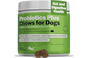 Deley Naturals Probiotics Plus Chews for Dogs - Gut Health Supplement with 5 Billion CFUs, Digestive Enzymes & Probiotics - P