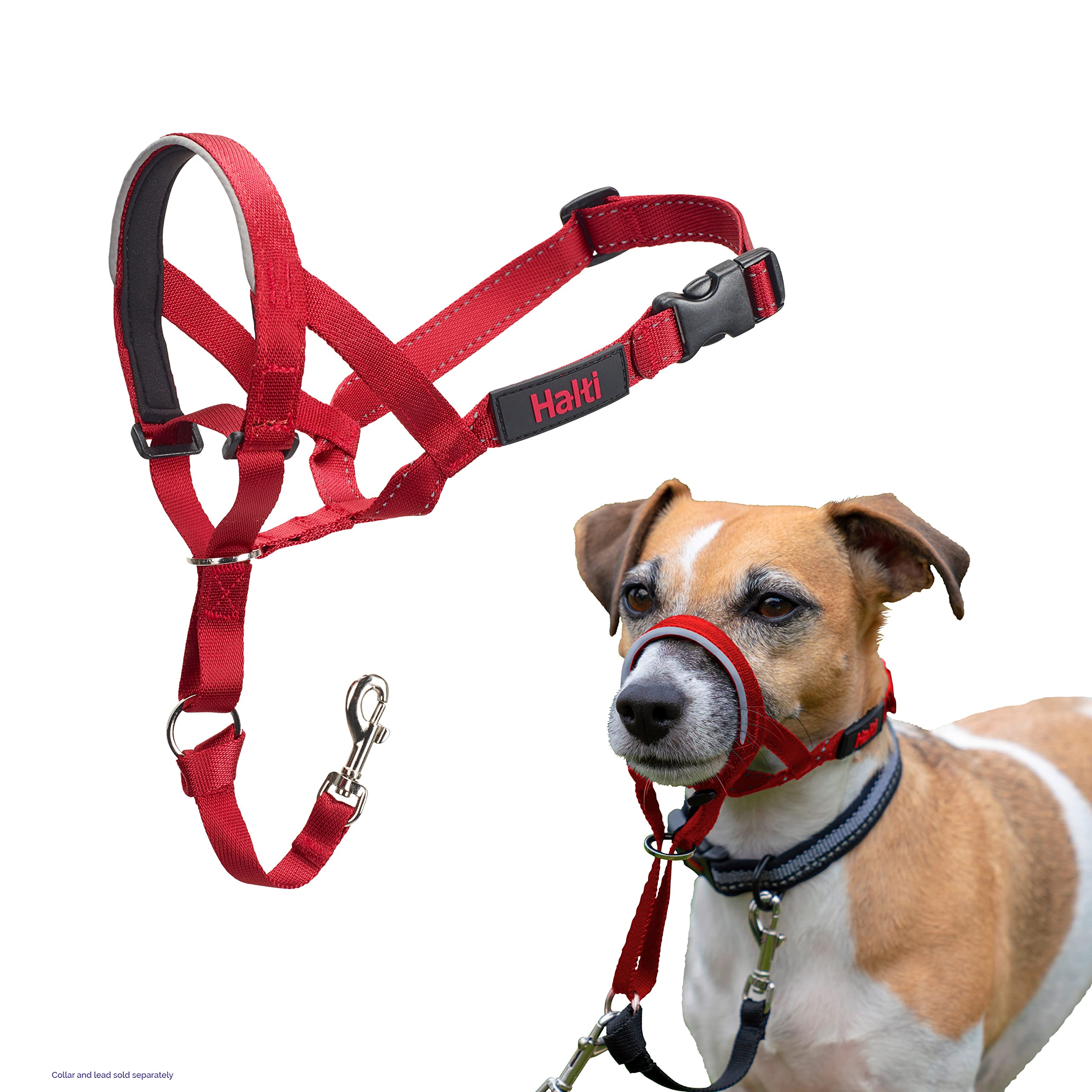 Halti Headcollar - Stop Your Dog Pulling on the Lead. Adjustable, Reflective and Lightweight, with Padded Nose Band. Dog Training Anti-Pull Collar for Small Dogs (Size 1, Red)