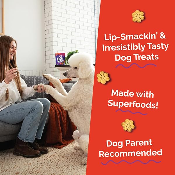 FRUITABLES BAKED DOG TREATS, PUMPKIN SNACKS FOR DOGS, LOW CALORIE & DELICIOUS, NO WHEAT, CORN OR SOY, HEALTHY PUPPY TRAINING TREATS, MADE IN THE USA, APPLE AND CRISPY BACON FLAVOR, 7OZ