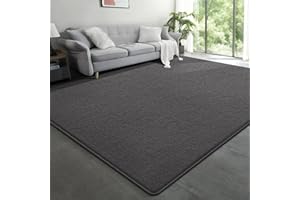 Large Modern Area Rugs for Living Room Bedroom, 6x9 Feet Dark Grey Ultra Soft Solid Thickened Memory Foam Indoor Minimalist C