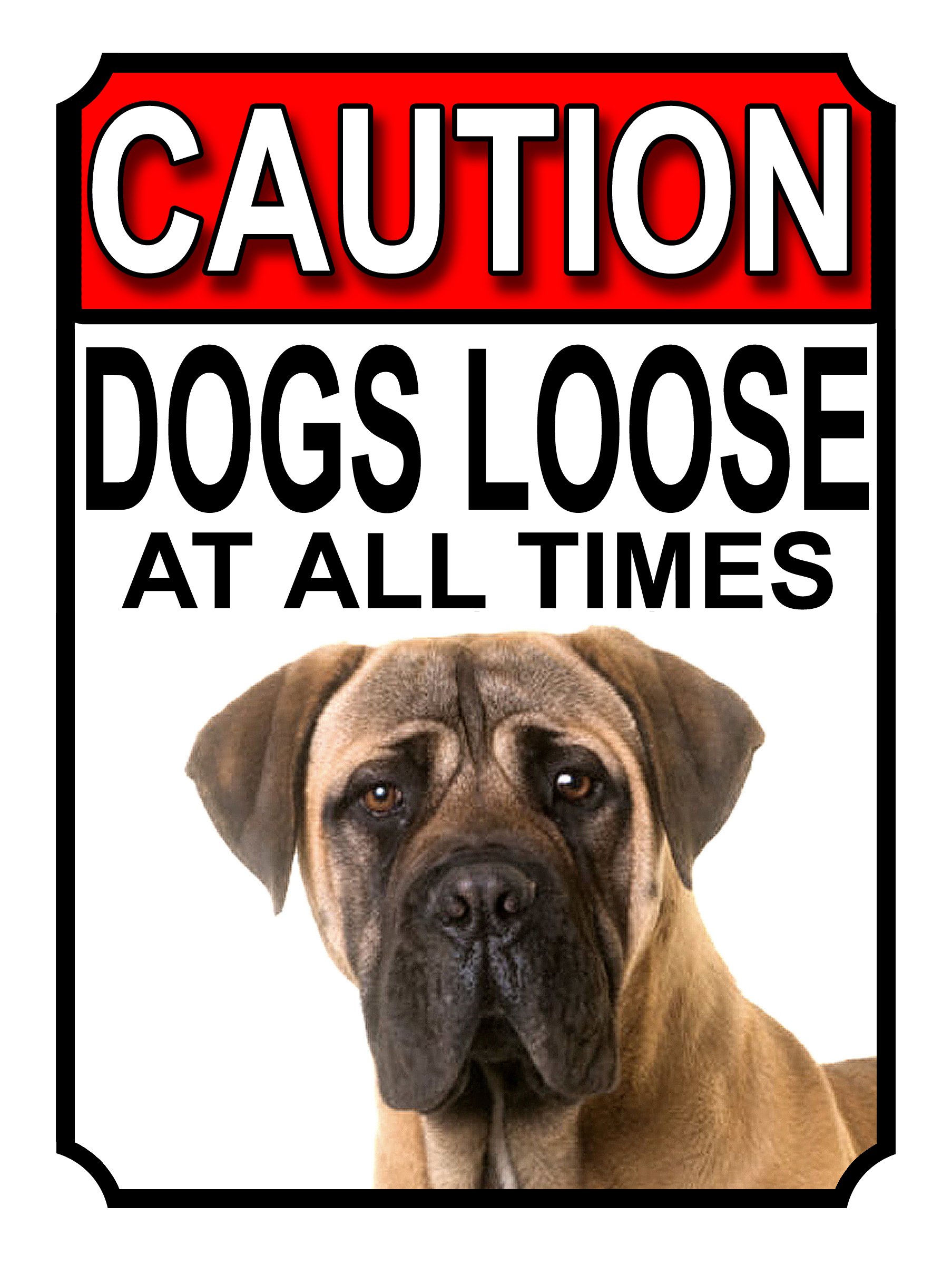 SHAWPRINT CAUTION DOGS LOOSE AT ALL TIMES METAL GATE SIGN BULLMASTIFF 200MM X 150MM (1190H1) — image 1