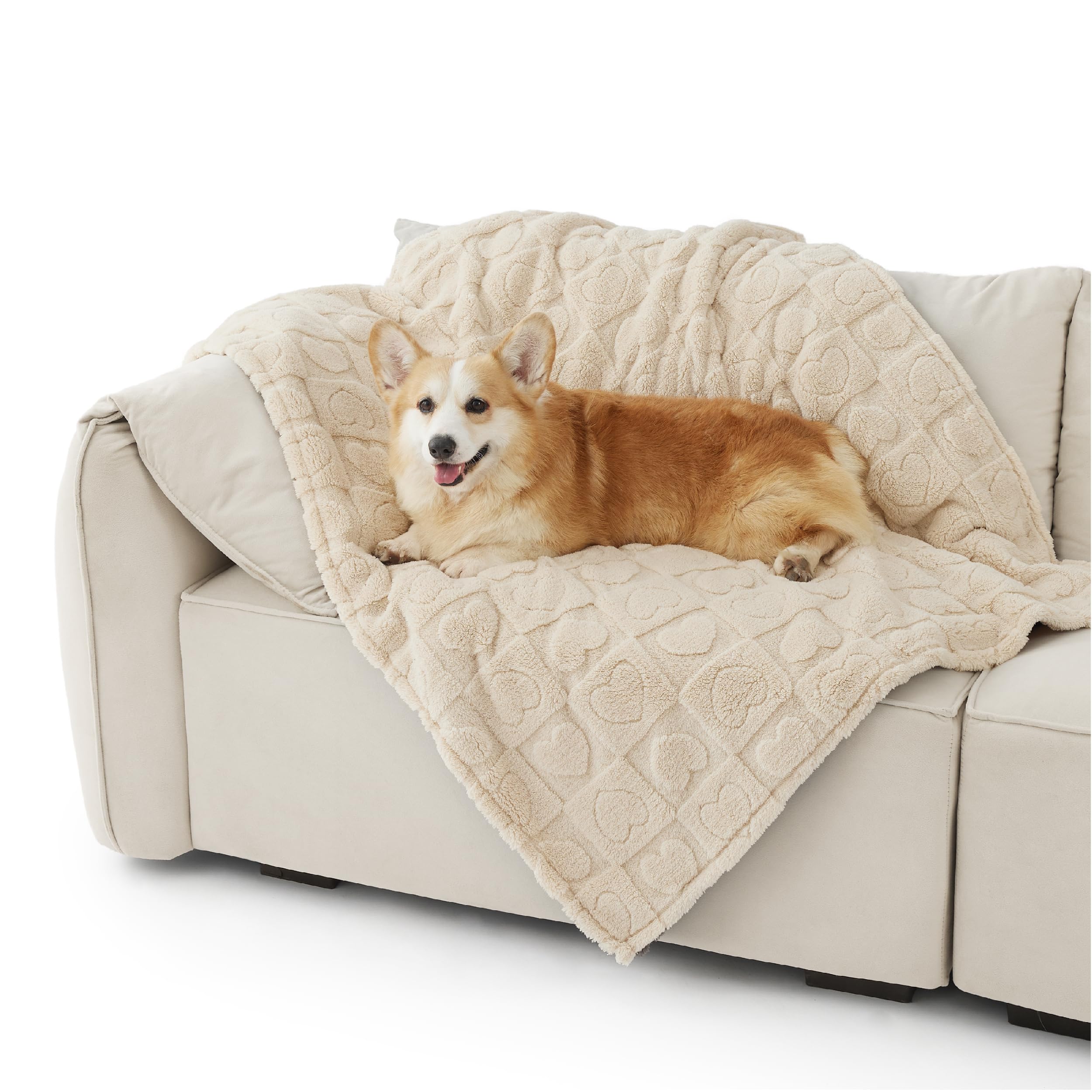 Bedsure Large Dog Blankets Washable - 120x100cm Soft Fluffy Puppy Blanket for Large Dogs and Pets, Cosy Calming Cat Blanket for Indoor Cats, Fleece Dog Bed Blankets, Pet throws for Sofa, Cream