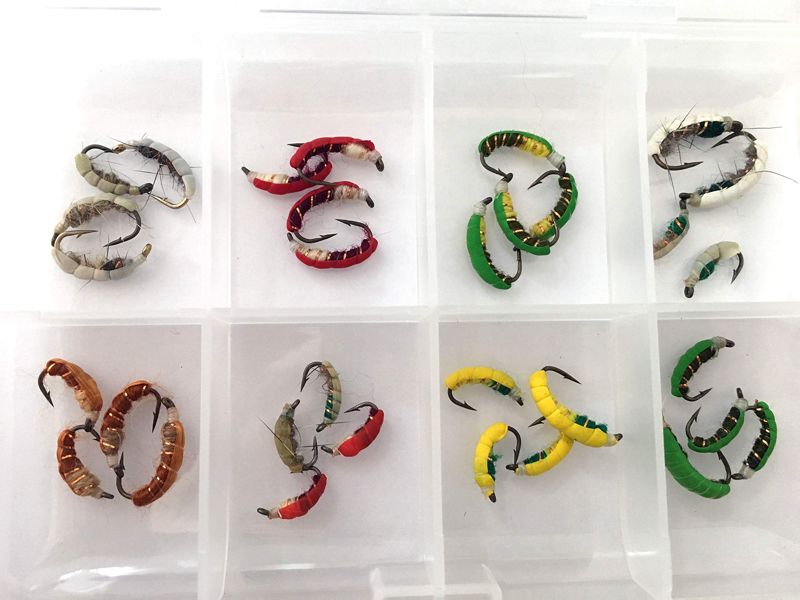 Fast sinking Czech nymphs Box of 24 Fishing Flies Size 10-16