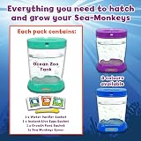 Sea Monkeys Ocean Zoo Grow Your Own Pets Science Kit Includes Eggs Water view 2