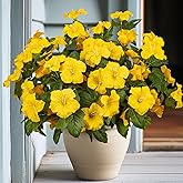 Brlita 19 Inch Artificial Fake Flowers for Outdoor,4 Pcs Yellow Faux Silk Petunias Spring Flowers for Outside for Indoor Porch Planter Front Door Garden Patio Window Box Home Decor
