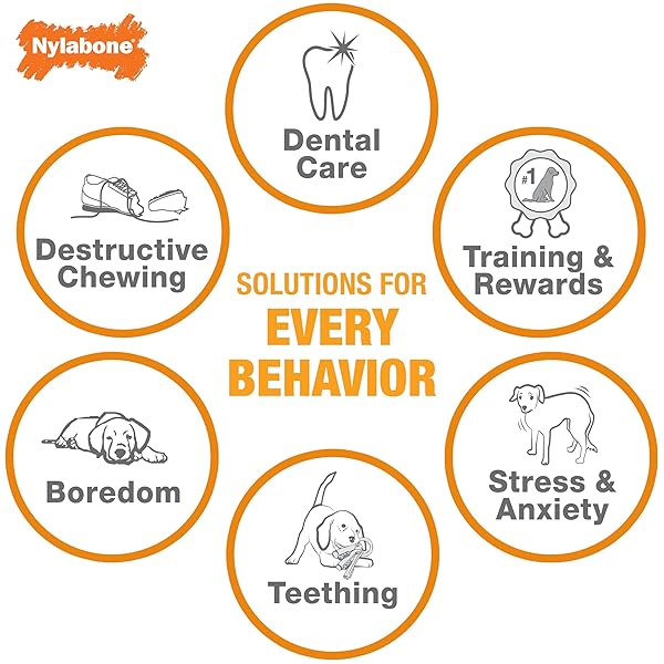 NYLABONE ORIGINAL BONE POWER CHEW TOY FOR DOGS, DURABLE DOG TOYS FOR AGGRESSIVE CHEWERS, BASTED BLAST CHICKEN FLAVOR, LARGE – UP TO 50 LBS, 2 PACK
