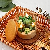 Tondiamo Succulent Cactus Candles Gift,3.15 Inch Scented Decorative Terrarium Plant Candles Votive for House Warming Wedding Baby Shower Spa Home Decoration Teacher Appreciation Mothers Gifts
