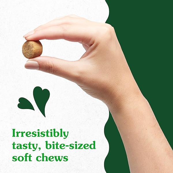 GREENIES SUPPLEMENTS DOG SKIN AND COAT SUPPLEMENTS WITH OMEGA 3 FATTY ACIDS & FISH OIL FOR DOGS, CHICKEN FLAVOR, 14.7 OZ, 80 COUNT