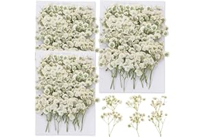 GLICRILI 90Pcs Mini Dried Pressed Baby's Breath Flowers Bulk - Natural Flat Real White Gypsophila Baby Breath, Pressed Flowers for Resin, Frame Art, Scrapbooking, Wedding Invitation