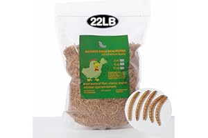 Euchirus 22LBs Non-GMO Dried Mealworms,High-Protein Larvae Treats Feed Molting Supplement for Birds Hens Ducks etc,Large Bulk Meal Worms Birds Chicken Food
