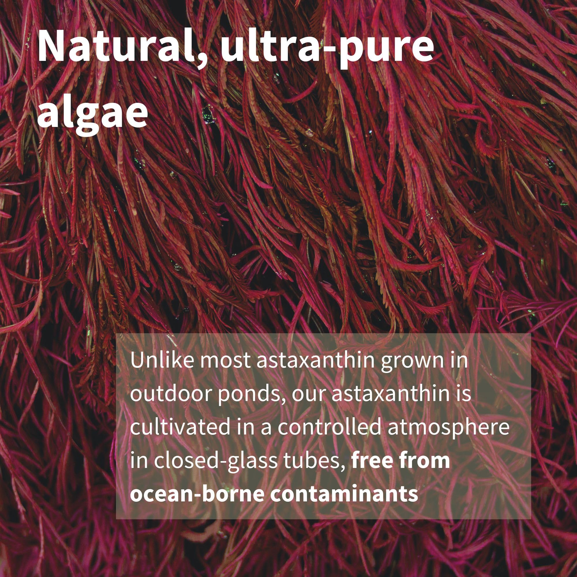 Igennus Vegan Astaxanthin 4mg Complex with Lutein and Zeaxanthin, 90 Small Softgels, from 42 mg Astapure, Natural Algae Antioxidant for Eyes, Skin & Joints, Non-GMO, H. Pluvialis