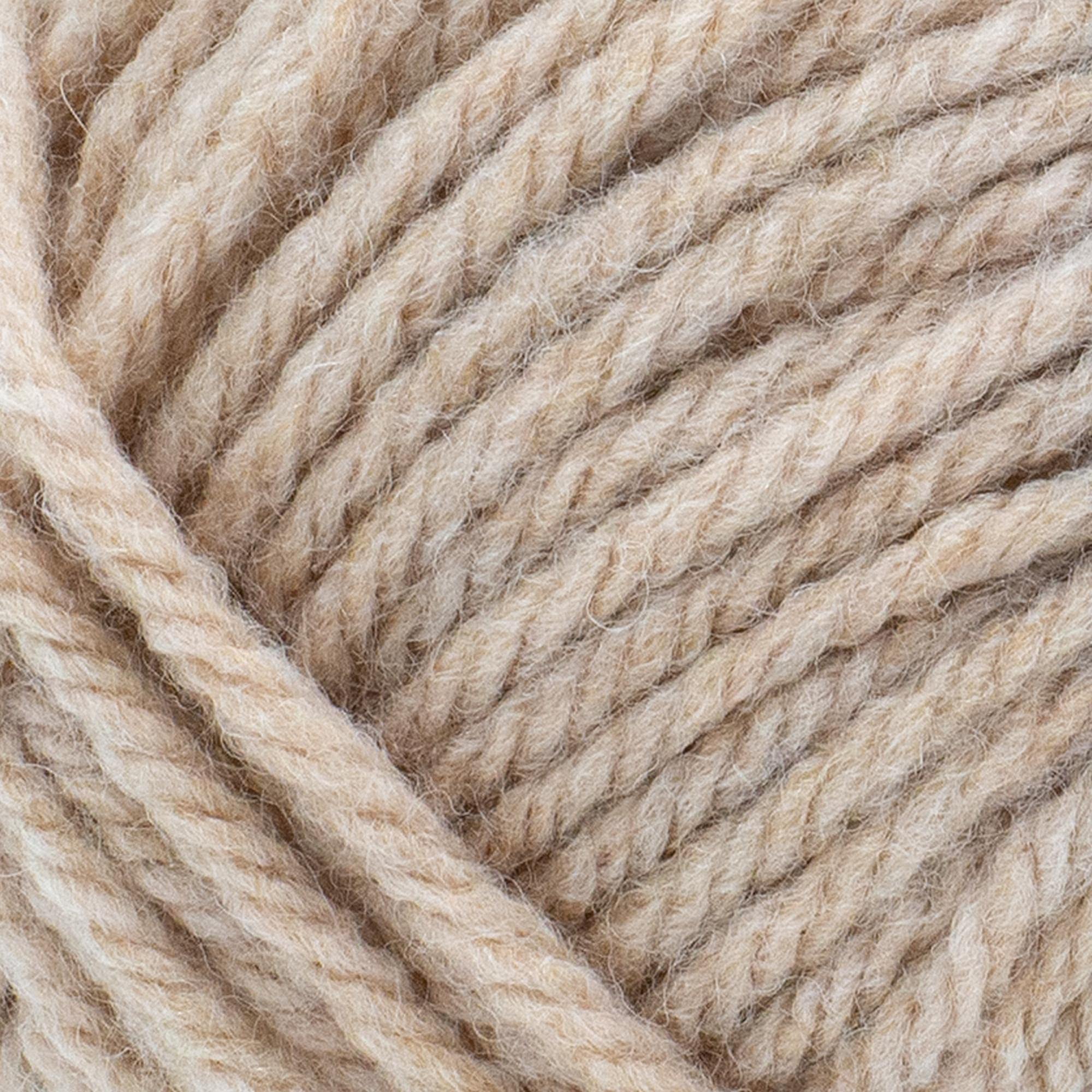 Lion Brand Yarn Hue + Me Chunky Yarn for Crocheting, Knitting, and Crafts, Desert, 1 Pack