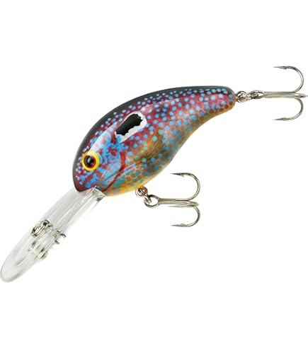 Amazon.com : BANDIT LURES Crankbait Series 100 200 & 300 Bass Fishing Lures,  Sun Perch, Series 200 (Dives to 8') : Fishing Diving Lures : Sports &  Outdoors