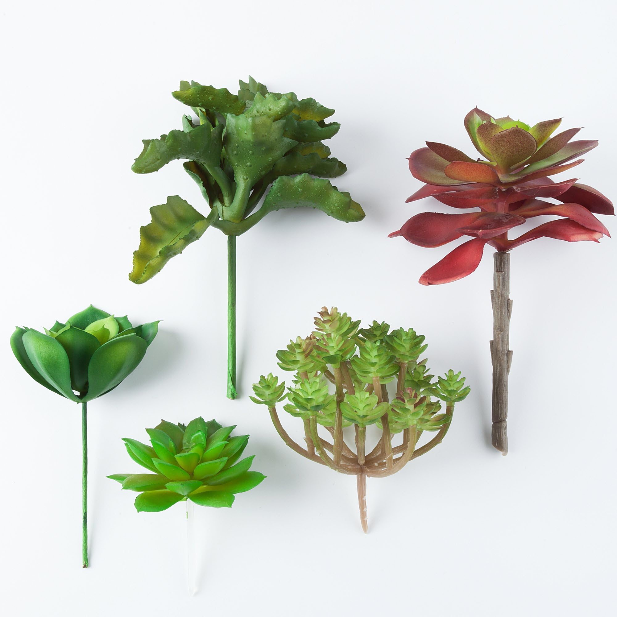 Artificial Succulent Plants Unpotted, Realistic Looking Variety Assortment (5 Pack Fake Succulents)