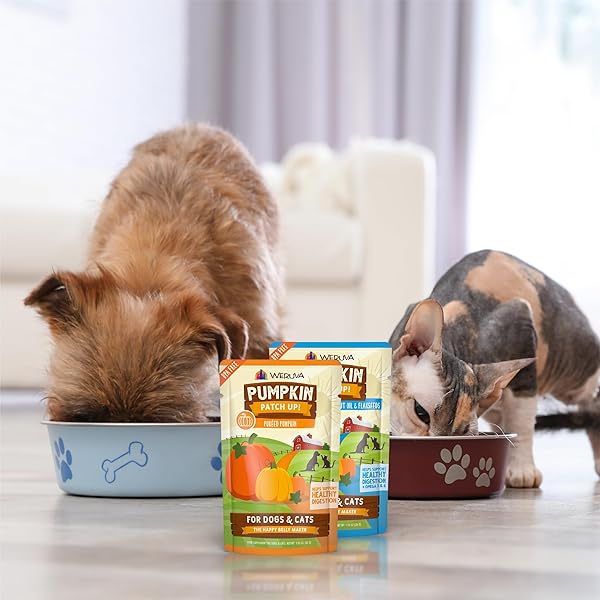 WERUVA PUMPKIN PATCH UP! PUMPKIN POUCHES FOR DOGS & CATS