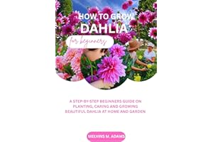 How to grow Dahlia flower for beginners : A STEP-BY-STEP BEGINNERS GUIDE ON PLANTING, CARING AND GROWING BEAUTIFUL DAHLIA AT 