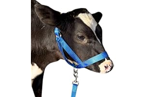 KABAHORZE Cow Halter Cattle Halters Calf Halter with Leading Rope，Adjustable Nylon Livestock Cattle Halter，for Miniature Horse Donkey Goat Foal (Blue, Small)