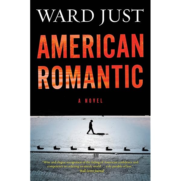 洋書 American Ambassador 英語版 洋書 American Ambassador 英語版 Amazon.co.jp: The