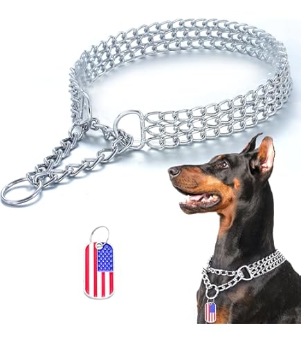 SPRING PARK Dog Chain Collar Choke Collar Non-scalable Anti-Chew Stainless Steel Metal Collars Choker Chain For Small Medium Large Dogs - Foto 11
