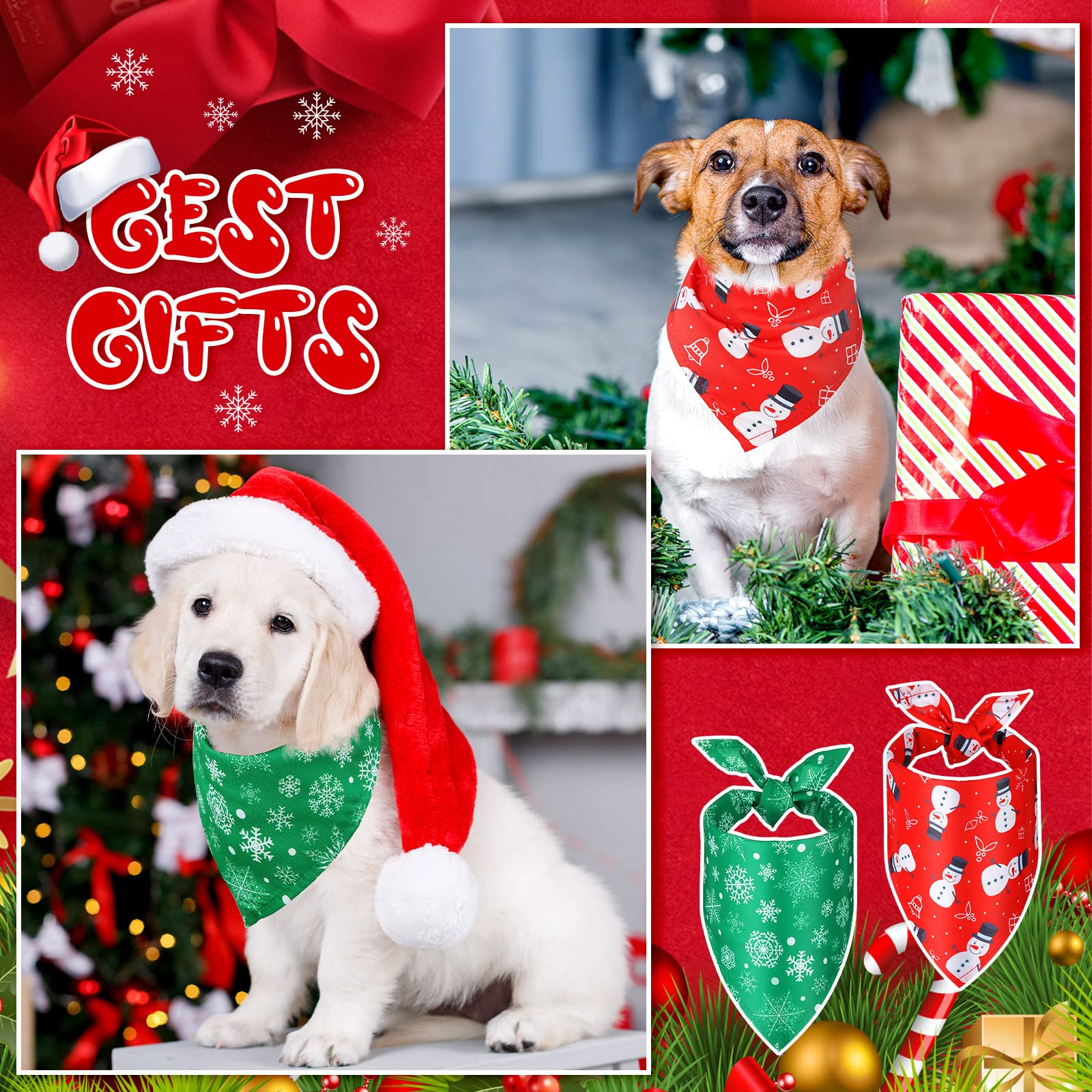 View 6