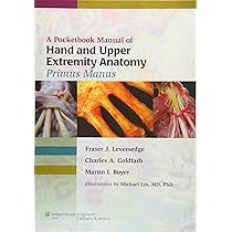 GREEN'S OPERATIVE HAND SURGERY 第6版 2巻セット Green's Operative Hand Surgery: 2-Volume Set: Wolfe MD