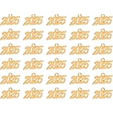 PATIKIL Graduation Tassel Charm, Alloy 2025 Year Large Letter Charm