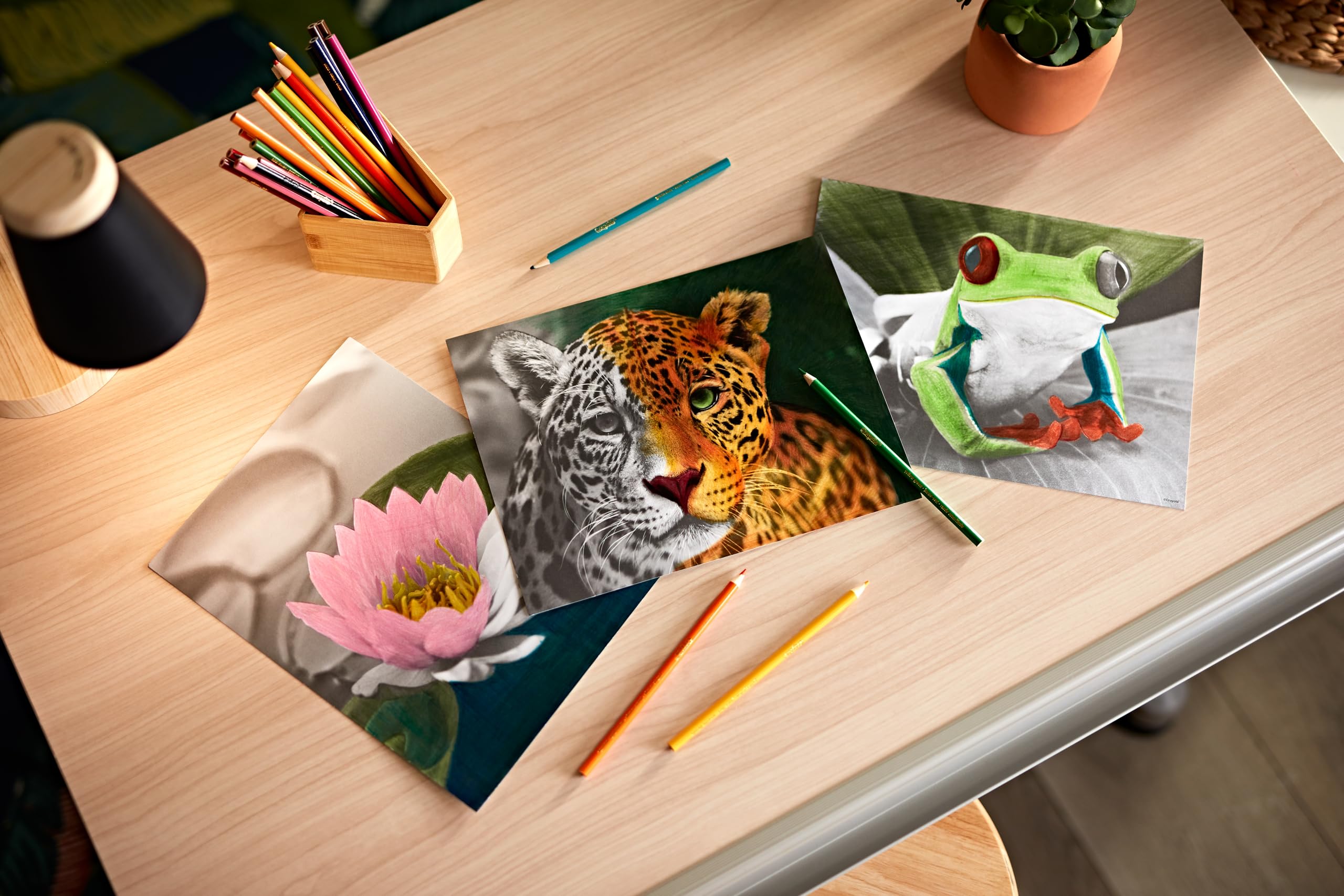 Crayola HD Coloring Kit, 30 Colored Pencils & 20 Adult Coloring Pages, Coloring Set for Adults & Teens, Coloring Supplies