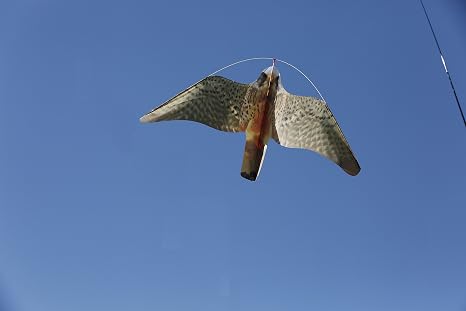 Espantapájaros EOLO HALCÓN profesional (Incluye mástil Telescópico ...