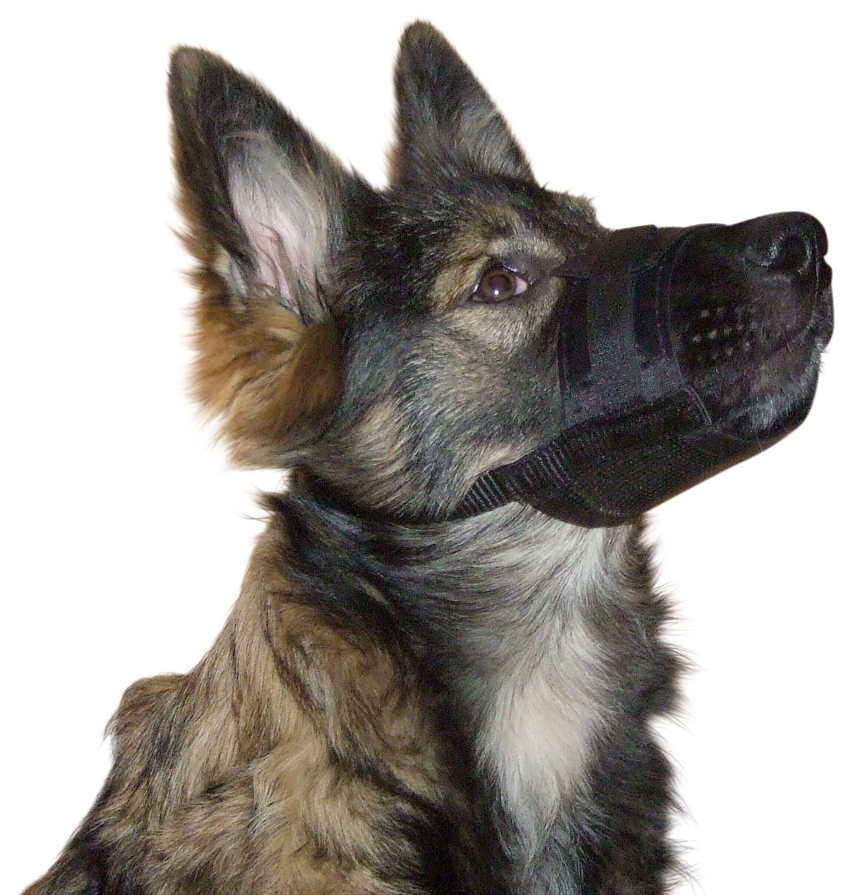 Kerbl Muzzle Nylon, 20-26 cm/ 9.5 cm/ 19-39 cm