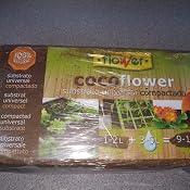 Flower 80070 80070-Coco, 9 l, No Aplica, 10.5x21x5.5 cm: Amazon.es ...
