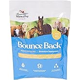Manna Pro Bounce Back Supplement | Multi-Species Electrolyte | 4 oz | Multi-Species Electrolyte Supplement, Supports Hydration During Stress, Travel &amp; Recovery, Easy-to-Mix Powder