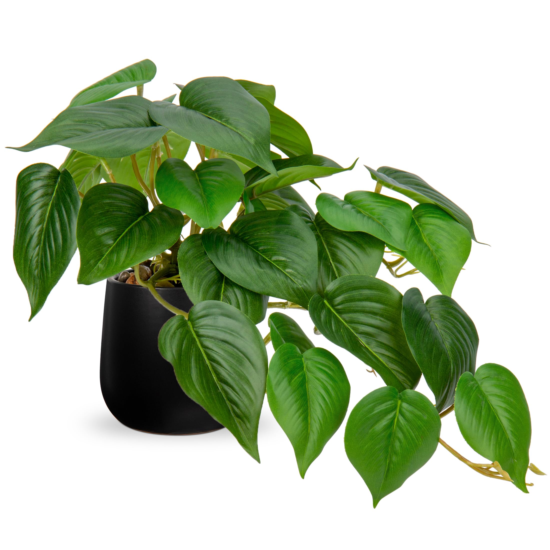 Hollyone Artificial Plants in Black Ceramic Pots, Fake Jade Pothos Decorative Faux Potted Plants, Realistic House Plant Indoor for Home Décor, Bathroom, Living Room, Kitchen, Office Decorations