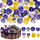 50 Pcs 8 Kinds Natural Dried Pressed Edible Flowers