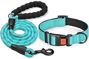 tobeDRI Reflective Nylon Dog Collar – Soft Neoprene Padded, Reflective and Adjustable - Dog Collars for Small Medium Large Do