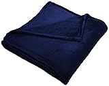 Pinzon Velvet Plush Blanket - King, Navy
