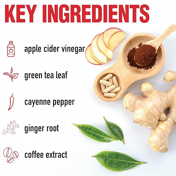 WINDMILL DIETWORKS APPLE CIDER VINEGAR CAPSULES EA, GINGER, CAYENNE & MAPLE, 120 COUNT