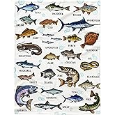 Types of Fish Flannel Fleece Throw Blanket, Ultra Soft Fluffy Fuzzy Blanket for Living Room Bedroom, Fishing Gifts for Dad Grandpa S 50"x40" for Kids