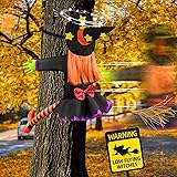 Halloween Decorations Outdoor Crashing