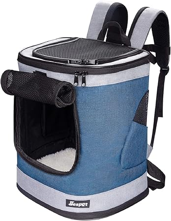 small walking backpack