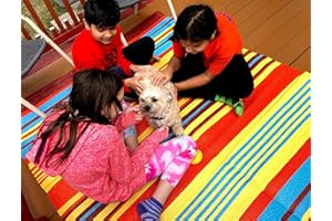 BalajeesUSA Outdoor Patio Rugs clearance 6'x9' (183 cm x 274 cm) Multi Color 20270