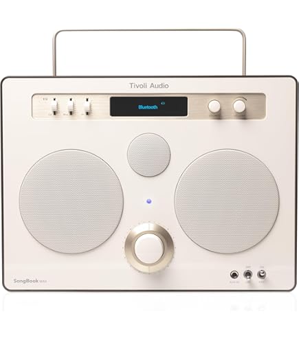 Amazon.com: Tivoli Audio Model Two Digital : Electronics