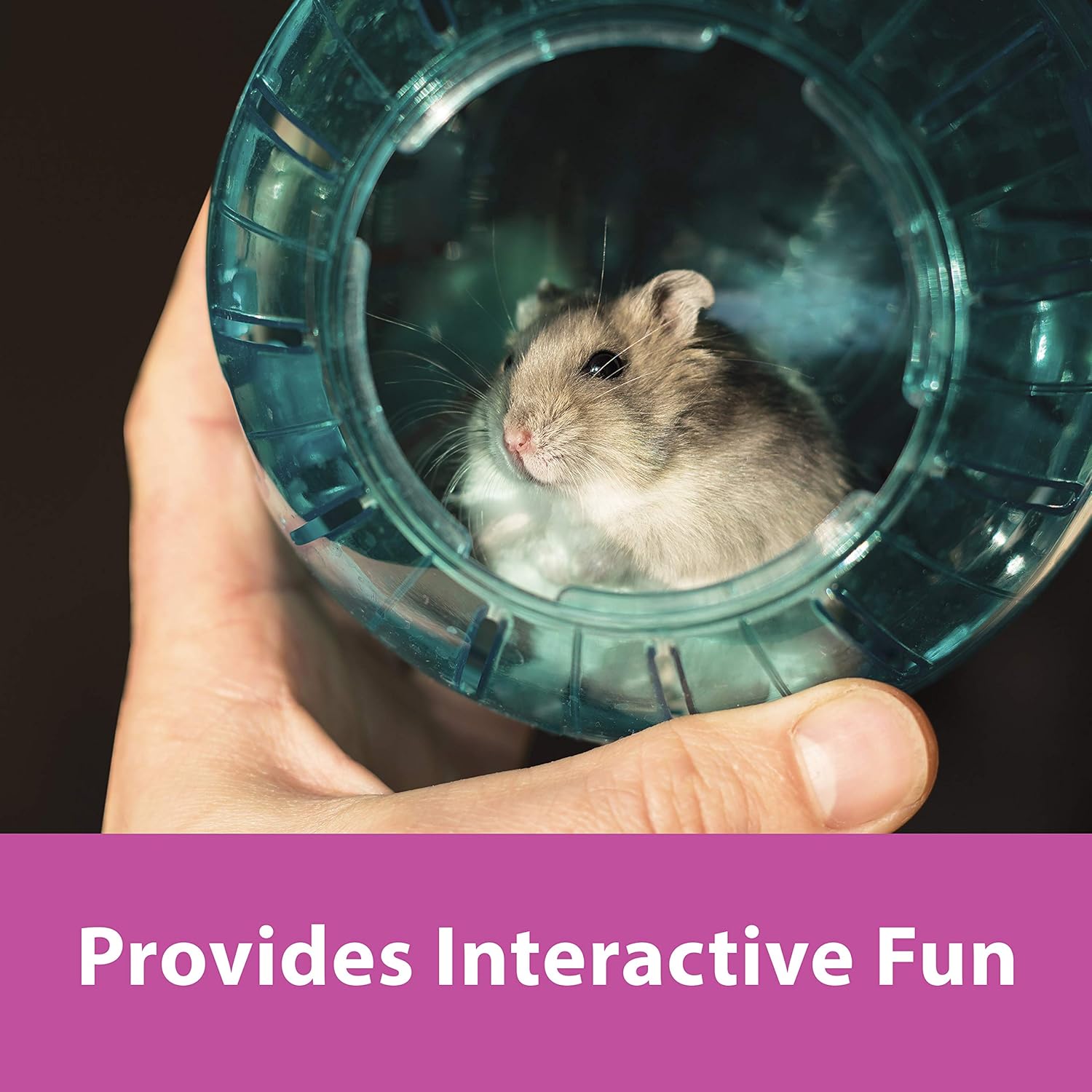 eugene talmond hamster ball