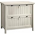 Sauder Costa 2 Drawer Lateral File Cabinet with Lock for Home Office, in Chalked Chestnut