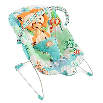 bright starts rocker bouncer