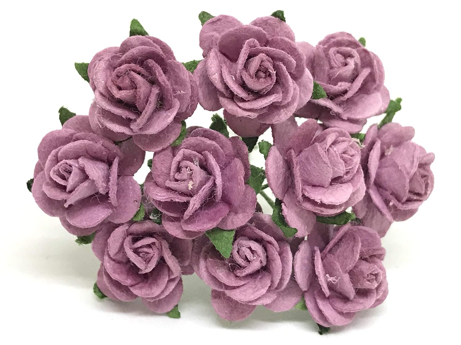 My favourite flower essay for class 2 picture